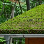 Best Moss Cleaning Expert in Stanmore, Berks